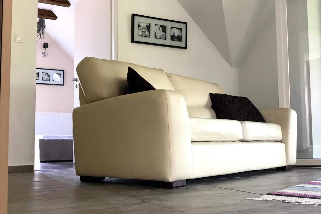 'New' Sunkissed Villa On The Old Hill Balatonalmádi Extérieur photo
